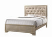 Beaumont Upholstered Queen Bed Champagne image