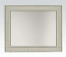 Acme Francesca Mirror in Champagne 62086