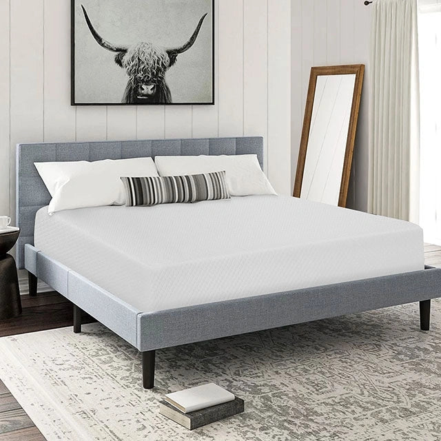 Artemisia 8" Cal. King, E.King, Full, & Queen Memory Foam Mattress