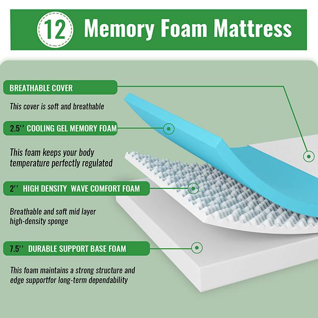 Coreopsis 12" Full Memory Foam Wave Comfort