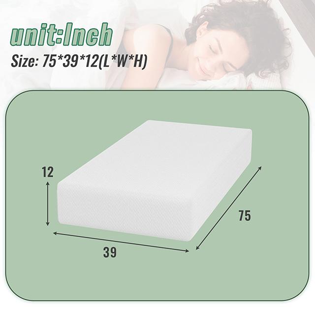 Coreopsis 12" Twin Memory Foam Wave Comfort