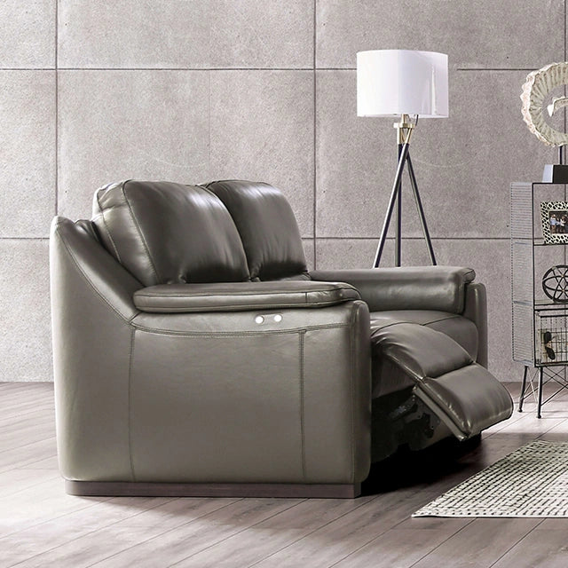ALTAMURA Power Loveseat, Gray & Beige